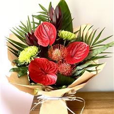 Anthurium Paradise (National) 