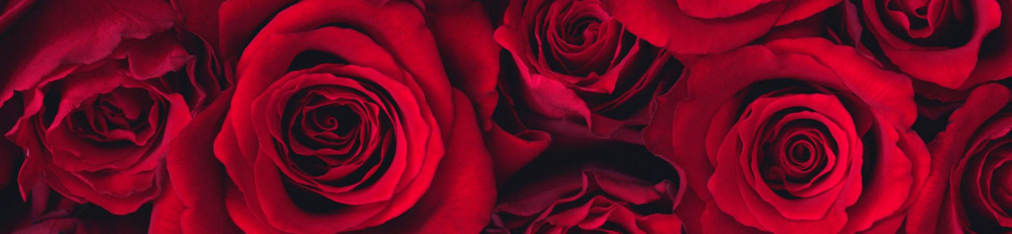 Valnetine's Day Flowers - Style Exotic Flowers