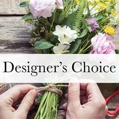 Designers Choice